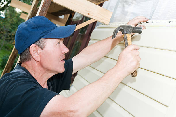 Best Stone Veneer Siding  in Arcola, VA